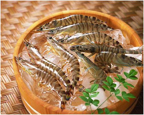 thực phẩm gíup bé phát triển chiều cao